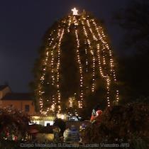 Accensione albero di Natale, 08/12/2024