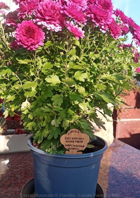 Memoria agli ex musicanti del Corpo Musicale